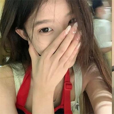 国王的选择封面